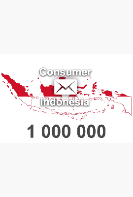 2023 fresh updated Indonesia 1 000 000 Consumer email database