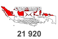 2024 fresh updated Indonesia 21 920 Consumer email database
