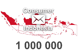 2024 fresh updated Indonesia 1 000 000 Consumer email database